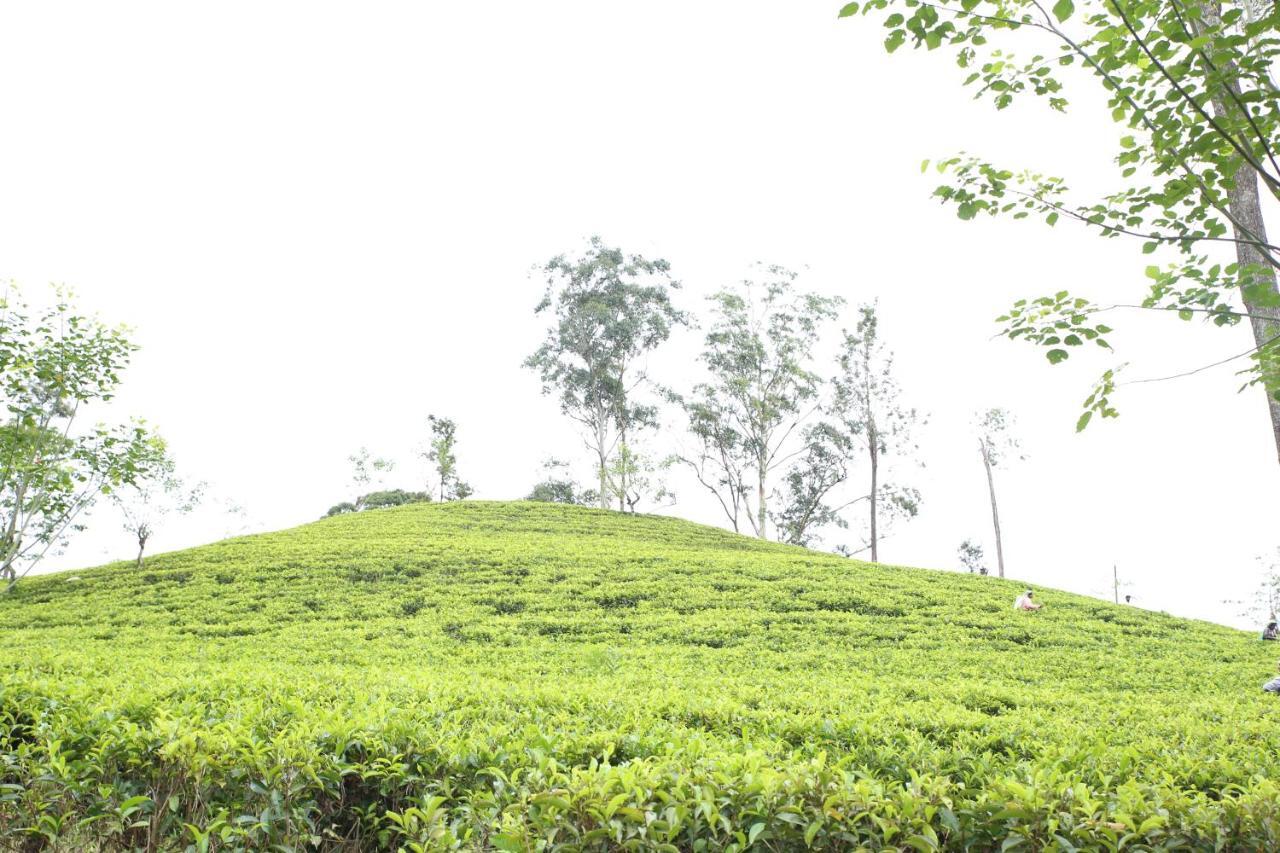 Ella Tea Land View Daire Dış mekan fotoğraf